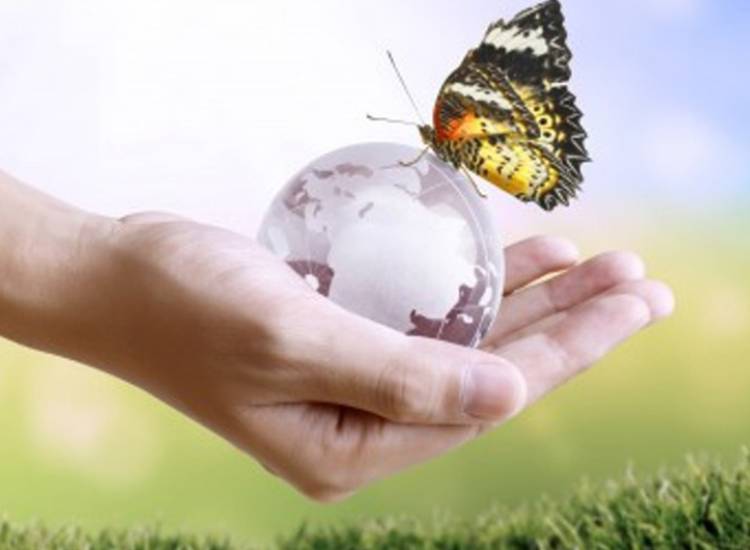 مدارای اجتماعی