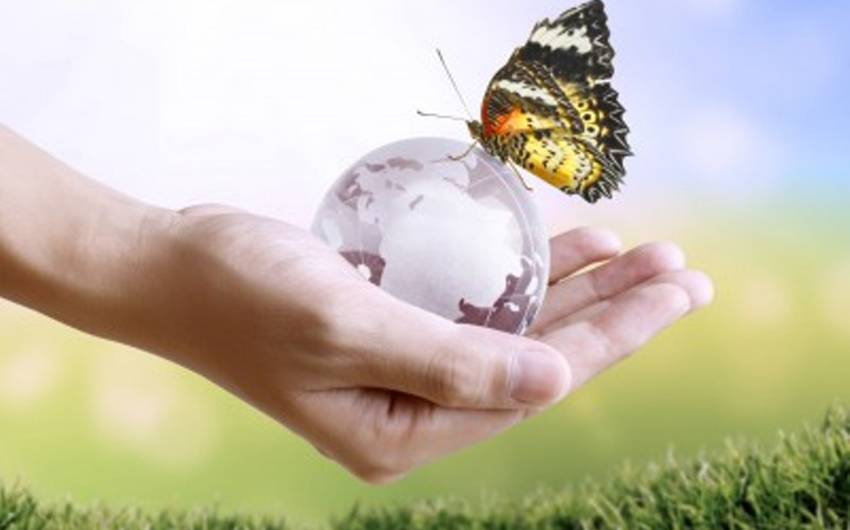 مدارای اجتماعی